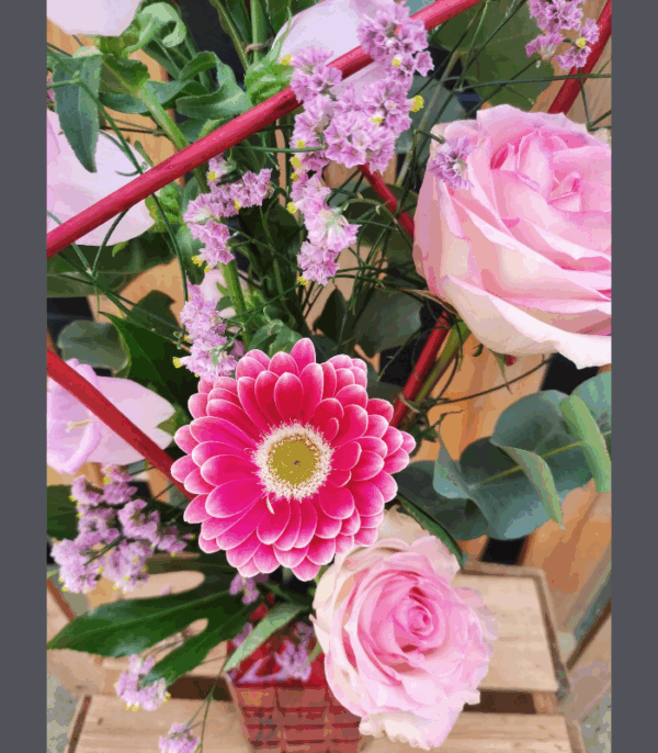 Fuchsia – Image 2