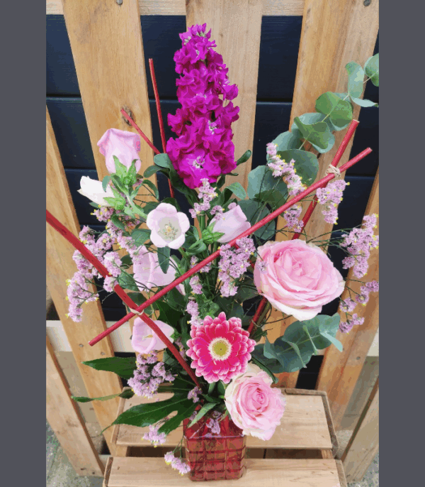 Fuchsia – Image 3