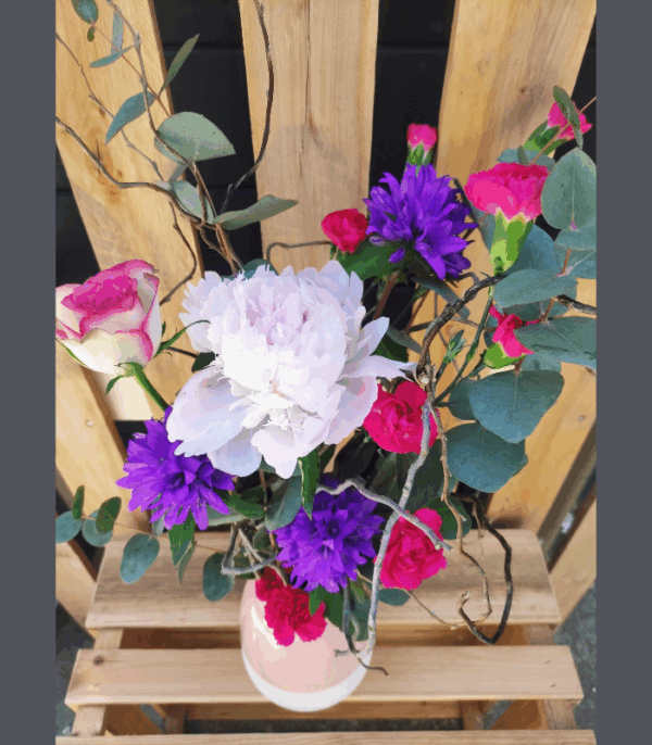 Violette – Image 2