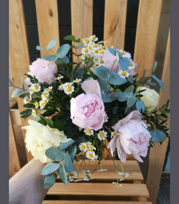 Pivoine