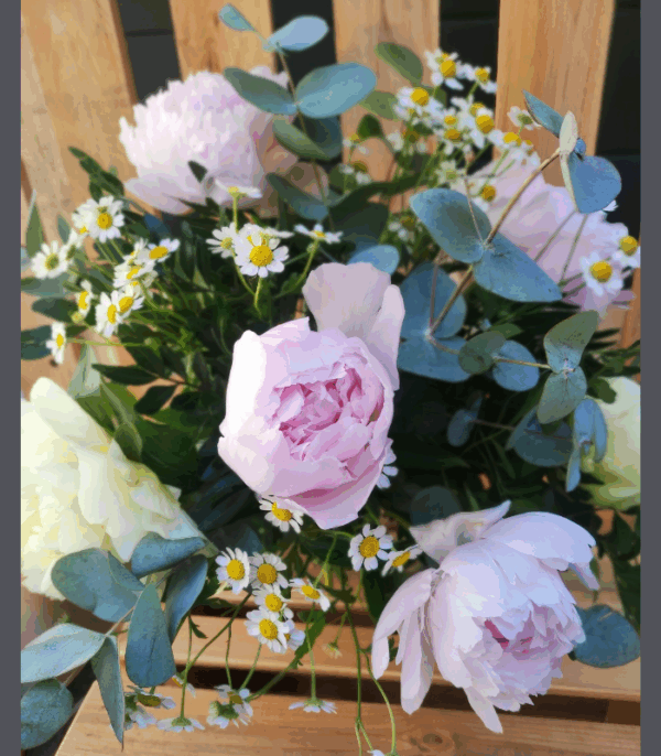 Pivoine – Image 2