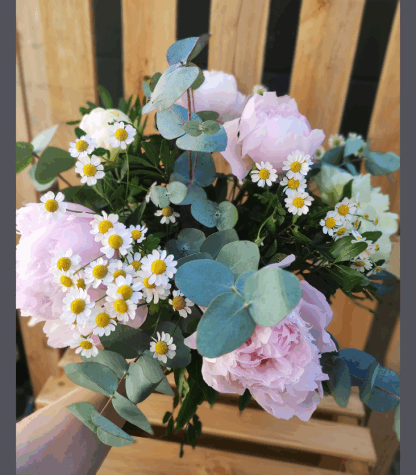 Pivoine – Image 3