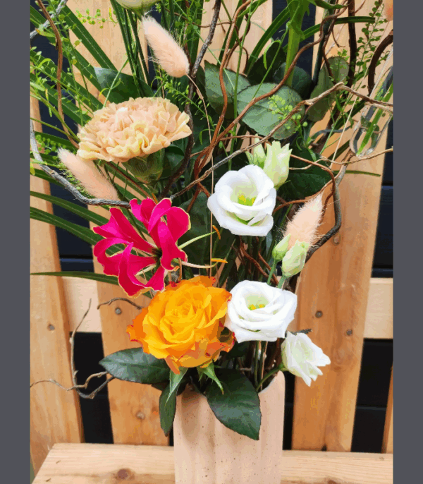Ambre – Image 3